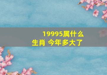 19995属什么生肖 今年多大了